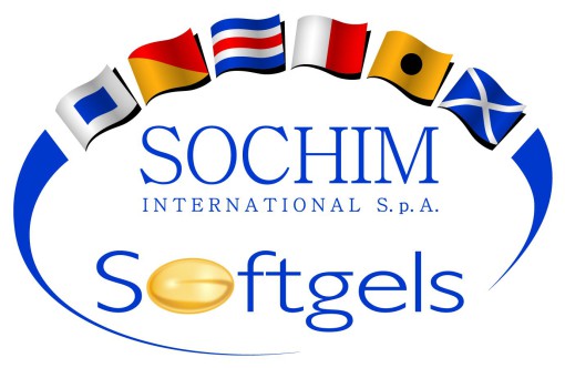 Logo Sochim International