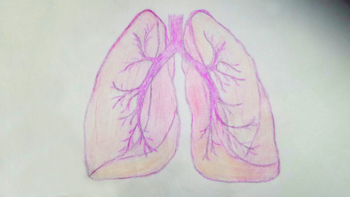polmoni corticosteroidi per via inalatoria  BPCO
