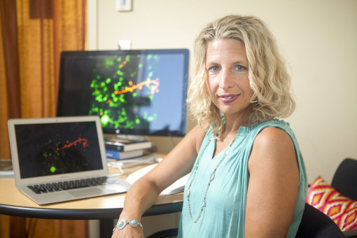 Beth Stevens (Boston Children's Hospital) guida un gruppo di ricerca sulle cellule cerebrali microglia (CC-BY, credits: John D. e Catherine T. MacArthur Foundation)