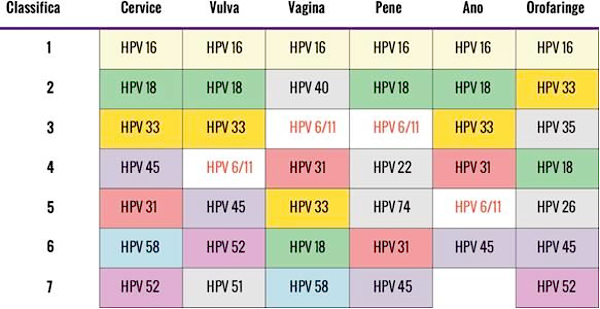 Hpv high risk gruppe, Papilloma virus ceppo alto rischio