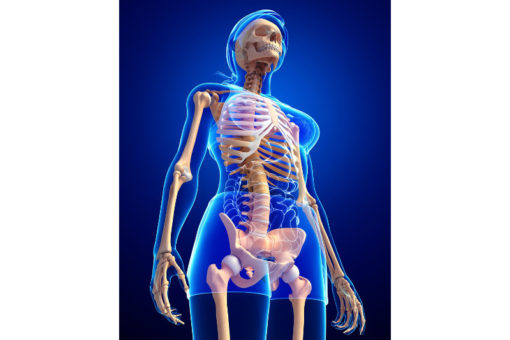Osteoporosi e indice di massa corporea sono strettamente correlati: per uno stato osseo ottimale è necessario un BMI nei limiti a partire dall'infanzia.