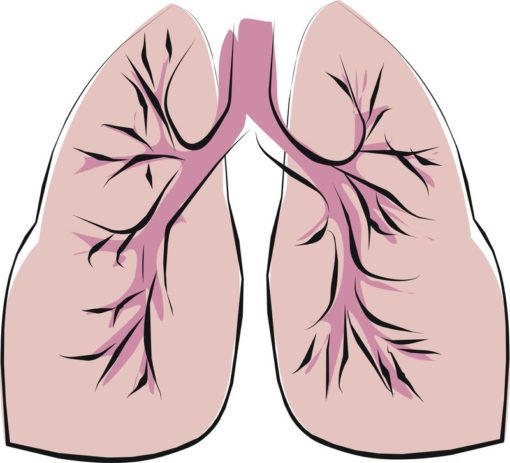 I dati a sei mesi su pirfenidone con nintedanib per la IPF dimostrano minima variazione della funzionalità polmonare rispetto al basale, mentre i punteggi della qualità di vita non hanno subito alcun peggioramento