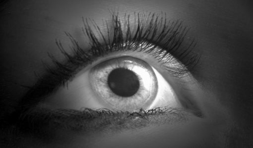 Latanoprostene bunod per glaucoma e ipertensione oculare ha ricevuto l'autorizzazione all'immissione in commercio negli USA dalla FDA 