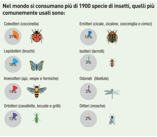 Le potenzialità del mercato degli insetti sono enormi. Più di 1900 specie di insetti comunemente usati nel mondo.